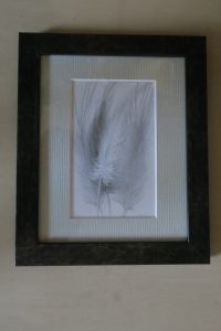 img_0203